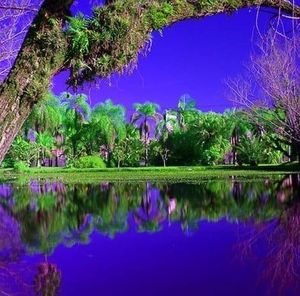 Meet your Posher, Moreno